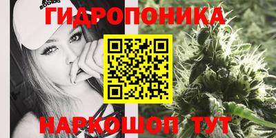 герыч Можга
